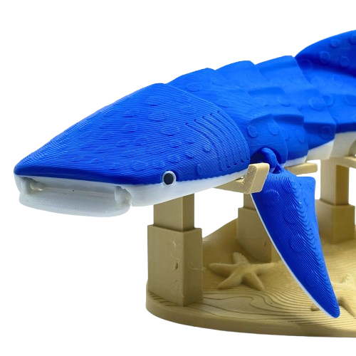 Whale Shark 3D Printed Articulated Large Fidget Toy Gift - Brooks3DPrint