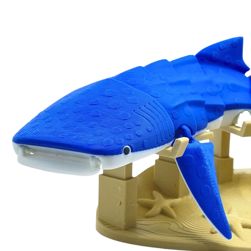Whale Shark 3D Printed Articulated Large Fidget Toy Gift - Brooks3DPrint