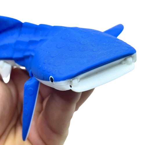 Whale Shark 3D Printed Articulated Large Fidget Toy Gift - Brooks3DPrint