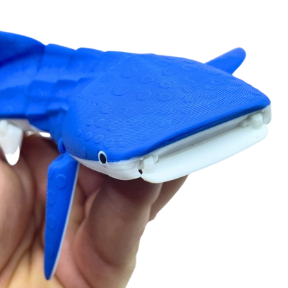 Whale Shark 3D Printed Articulated Large Fidget Toy Gift - Brooks3DPrint