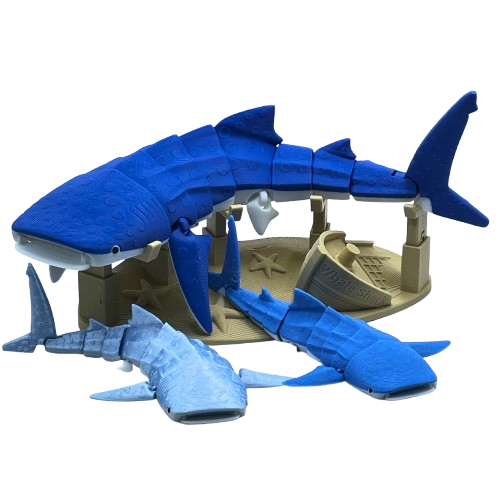 Whale Shark 3D Printed Articulated Large Fidget Toy Gift - Brooks3DPrint