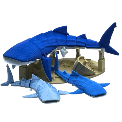 Whale Shark 3D Printed Articulated Large Fidget Toy Gift - Brooks3DPrint