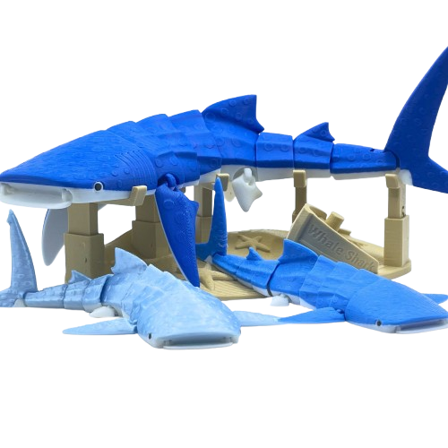 Whale Shark 3D Printed Articulated Large Fidget Toy Gift - Brooks3DPrint